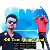 About Dil Tore Piche Pagal Song